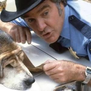 Meet your Posher, Jeff